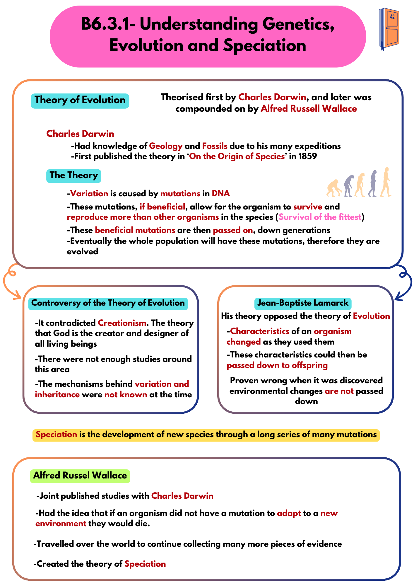 B6.3.1- Understanding Genetics, Evolution and Speciation cheat sheet ...