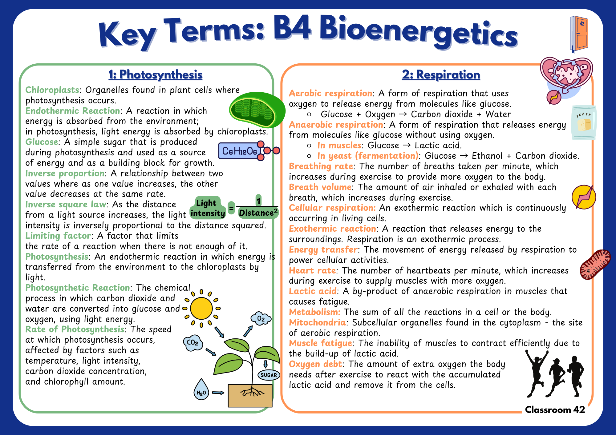 B4 Bioenergetics – Classroom 42